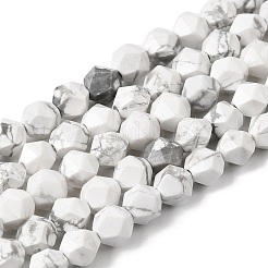 Natural Howlite Beads Strands&nbsp;G-Z119-A43-01