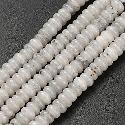 Natural Labradorite Beads Strands&nbsp;G-L635-A05-4x2mm