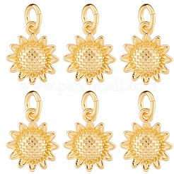 16Pcs Rack Plating Eco-Friendly Brass Pendants&nbsp;KK-BBC0023-09