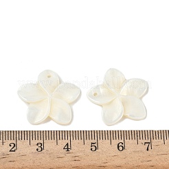Natural Freshwater Shell Carved Pendants&nbsp;SHEL-K006-59