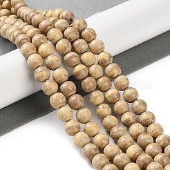 Natural Rainbow Alashan Agate Beads Strands&nbsp;G-NH0022-A06-02