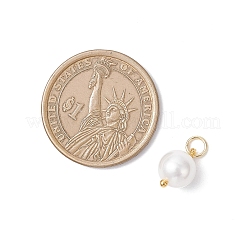 Shell Pearl Round Charms&nbsp;PALLOY-JF04476-01