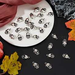 30Pcs Tibetan Style Alloy Pendants&nbsp;FIND-DC0006-15