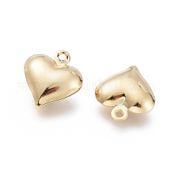 304 Stainless Steel Charms&nbsp;X-STAS-H413-16G