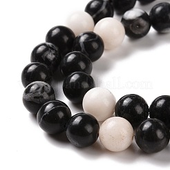 Natural Zebra Jasper Beads Strands&nbsp;G-E072-01B