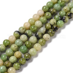 Natural Serpentine Bead Strands&nbsp;G-N166-6-1