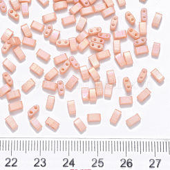 FGB 2-Hole Baking Paint Glass Seed Beads&nbsp;SEED-S031-M-596