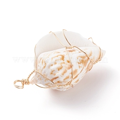 Natural Conch Shell Big Pendants&nbsp;PALLOY-JF01204