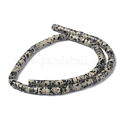 Natural Dalmatian Jasper Beads Strands&nbsp;G-Z006-C17