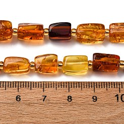 Gradient Color Natural Amber Beads Strands&nbsp;G-F803-D01-02