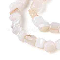 Natural Freshwater Shell Beads Strands&nbsp;SHEL-N037-04K