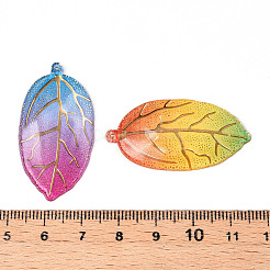 Printed Translucent Acrylic  Pendants&nbsp;OACR-T028-24