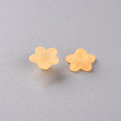 Transparent Acrylic Beads&nbsp;PL554-07