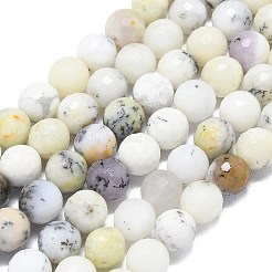 Natural White African Opal Beads Strands&nbsp;G-B165-A12-8mm