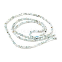 Natural Larimar Beads Strands&nbsp;G-L627-A01-2mm