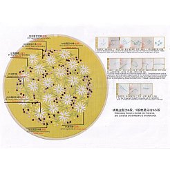 Embroidery Kit&nbsp;DIY-M026-02A