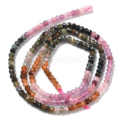 Gradient Color Natural Colorful Tourmaline Beads Strands&nbsp;G-P556-A02-01
