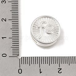 Brass Slide Charms&nbsp;KK-CBAEEA8-08A-S