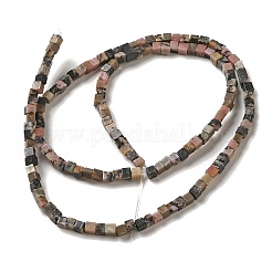 Natural Rhodonite Beads Strands&nbsp;G-B064-A31