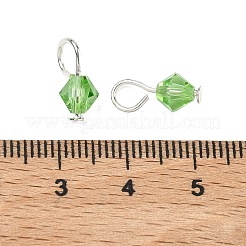 Glass Charms&nbsp;PALLOY-PH01613