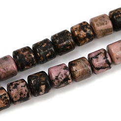 Natural Rhodonite Beads Strands&nbsp;G-G275-D07-10x10mm