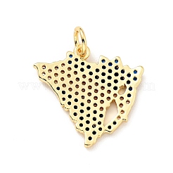 Brass Micro Pave Cubic Zirconia Pendants&nbsp;KK-G416-03G-02