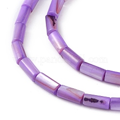 Natural Freshwater Shell Dyed Beads Strands&nbsp;SHEL-M018-11-08
