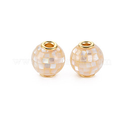 Natural White Shell Mother of Pearl Shell Beads&nbsp;SSHEL-T014-45A