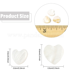 30Pcs Natural Freshwater Shell Beads&nbsp;SHEL-YW0001-18