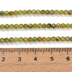Natural Peridot Beads Strands&nbsp;GG-CBA753B-A04-3mm