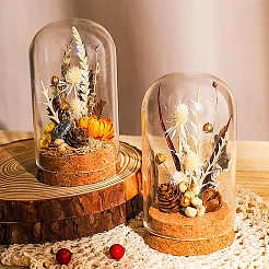 10 set Glass Dome Cover&nbsp;AJEW-BC0003-54A