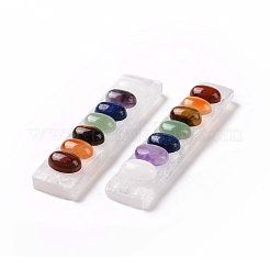Chakra Natural Selenite Display Decorations&nbsp;G-G973-10