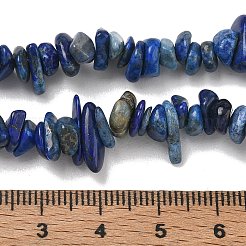 Natural Lapis Lazuli Chip Beads Strands&nbsp;X-G-E271-121
