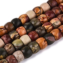 Natural Picasso Jasper/Polychrome Jasper Beads Strands&nbsp;G-Q616-02A-06