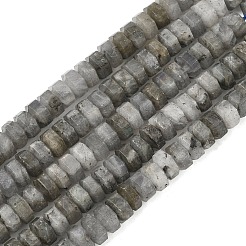 Natural Labradorite Beads Strands&nbsp;G-L654-I05-01