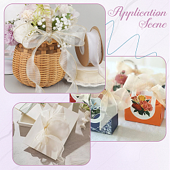 1Bag Organza Ribbon&nbsp;ORIB-CY0001-04B