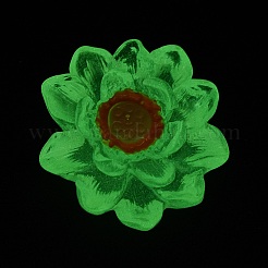 Luminous Transparent Resin Decoden Cabochons&nbsp;CRES-F032-B04