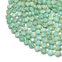Natural Amazonite Beads Strands&nbsp;G-C116-A39-02