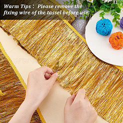 10M Polyester Tassel Lace Ribbon&nbsp;OCOR-WH0046-67