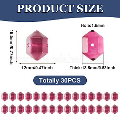 30Pcs Transparent Handmade Lampwork Beads&nbsp;LAMP-TADJ0001-12C