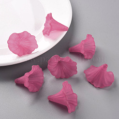 Transparent Acrylic Beads&nbsp;BSF796-C16