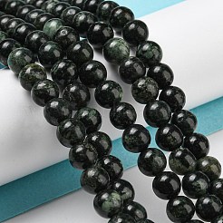 Natural Serpentine Beads Strands&nbsp;G-P504-6mm-01
