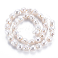 Natural Keshi Pearl Beads Strands&nbsp;PEAR-S020-C02