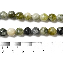 Natural Xiuyu Jade Beads Strands&nbsp;G-H298-A08-03