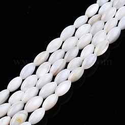 Natural Freshwater Shell Beads Strands&nbsp;SHEL-N026-212