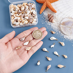 100Pcs 4 Styles Natural Shell Pendants&nbsp;PALLOY-NB00010