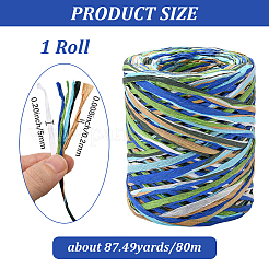 Segment Dyed Raffia Paper Cords for DIY Craft&nbsp;OCOR-WH20020-27B