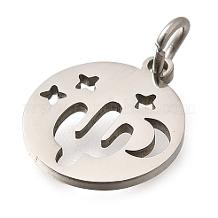 304 Stainless Steel Charms&nbsp;STAS-Z119-07P