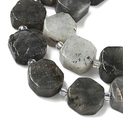 Natural Labradorite Beads Strands&nbsp;G-I394-D19