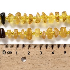 Natural Amber Beads Strands&nbsp;G-L095-I01-01